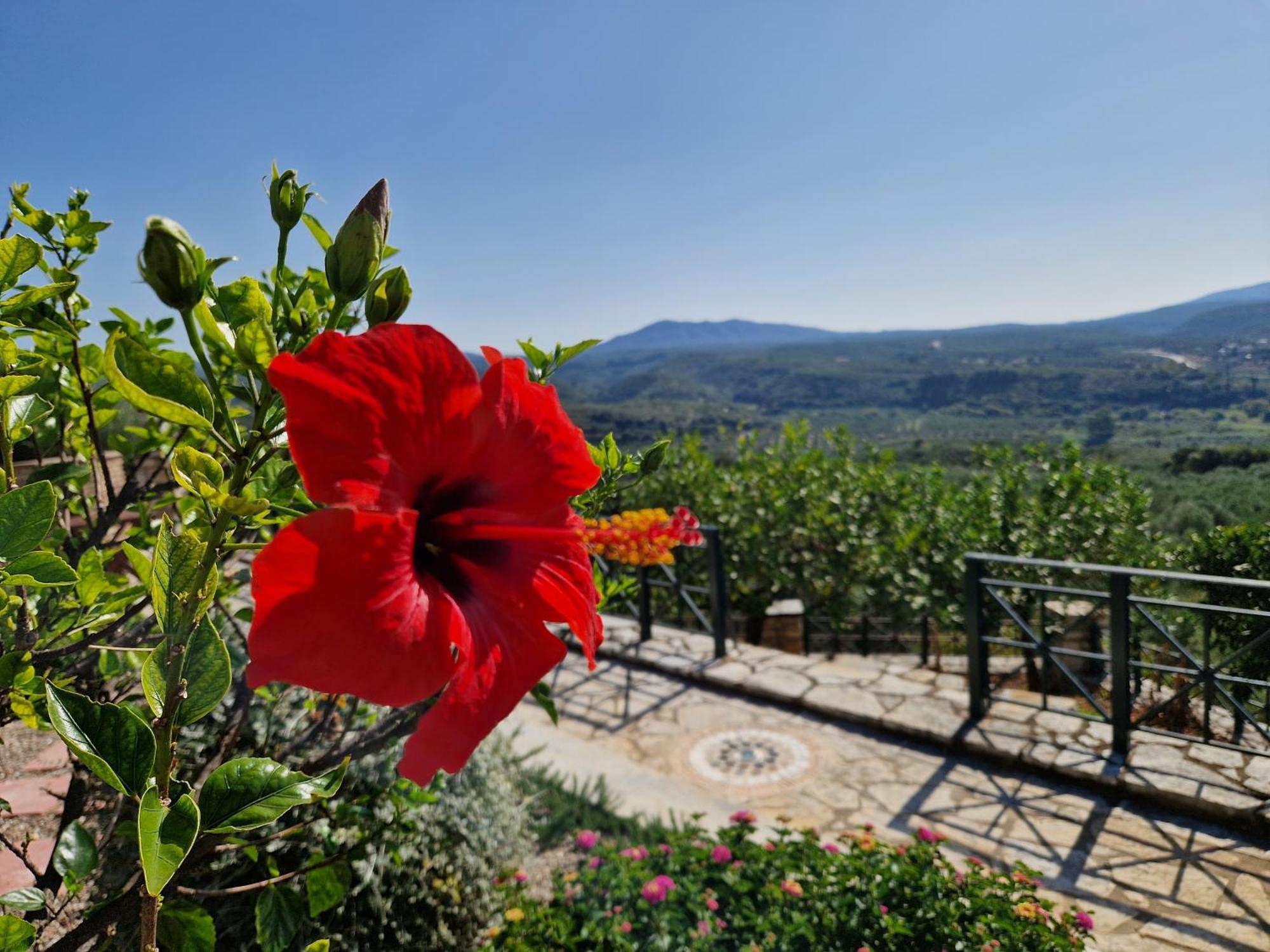 Tragana Villa Bagian luar foto